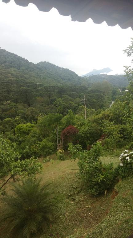 Bella Vista *